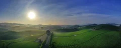 多彩贵州·第十四届中国原生态国际摄影大展 · 不倒翁 的图集