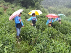 多彩贵州·第十四届中国原生态国际摄影大展 · 山民师 的图集