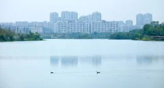 多彩贵州·第十四届中国原生态国际摄影大展 · 莫言 的图集