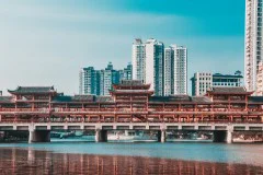 多彩贵州·第十四届中国原生态国际摄影大展 · 一只小胖子 的图集