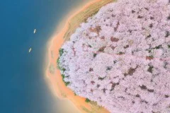 多彩贵州·第十四届中国原生态国际摄影大展 · Azhou 的图集