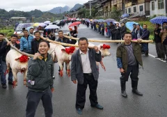 《千名“姑妈”回娘组图》