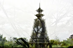 多彩贵州·第十四届中国原生态国际摄影大展 · 紫蝶视角 的图集