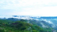 多彩贵州·第十四届中国原生态国际摄影大展 · 流浪枫叶 的图集