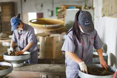 多彩贵州·第十四届中国原生态国际摄影大展 · 朱进 的图集