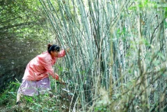 多彩贵州·第十四届中国原生态国际摄影大展 · 大圣归来玩摄影 的图集