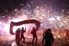 2025多彩贵州·第十八届中国原生态国际摄影大展 · 沙漠狼 的图集