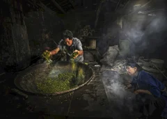 多彩贵州·第十四届中国原生态国际摄影大展 · 朱文军 的图集