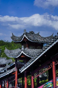 2025多彩贵州·第十八届中国原生态国际摄影大展 · 宜非帆 的图集