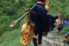 2020多彩贵州·第十三届 中国原生态国际摄影大展 · 老墙 的图集