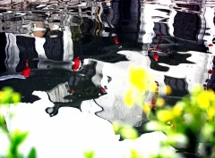 梦里水乡
