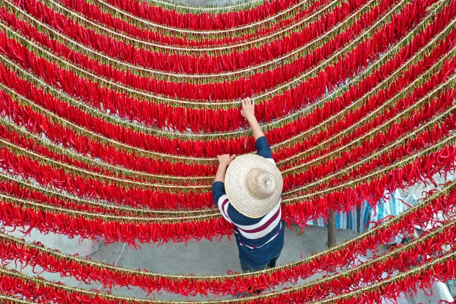 毕节·大方 羊场镇陇公村