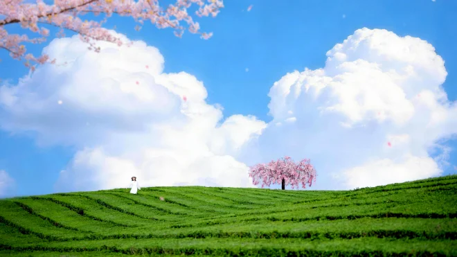 贵阳·观山湖 羊艾茶厂