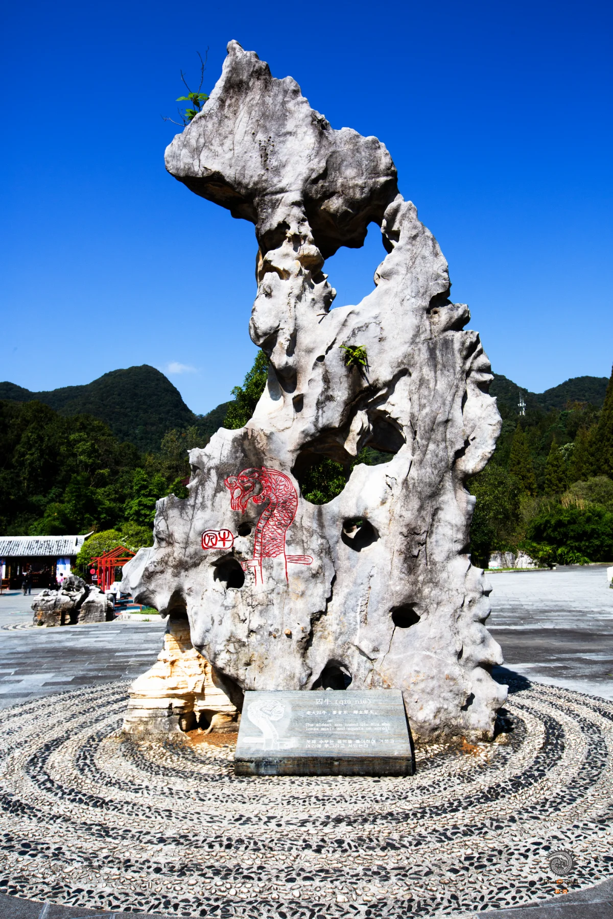 2025多彩贵州·第十八届中国原生态国际摄影大展 · 朱进 的图集