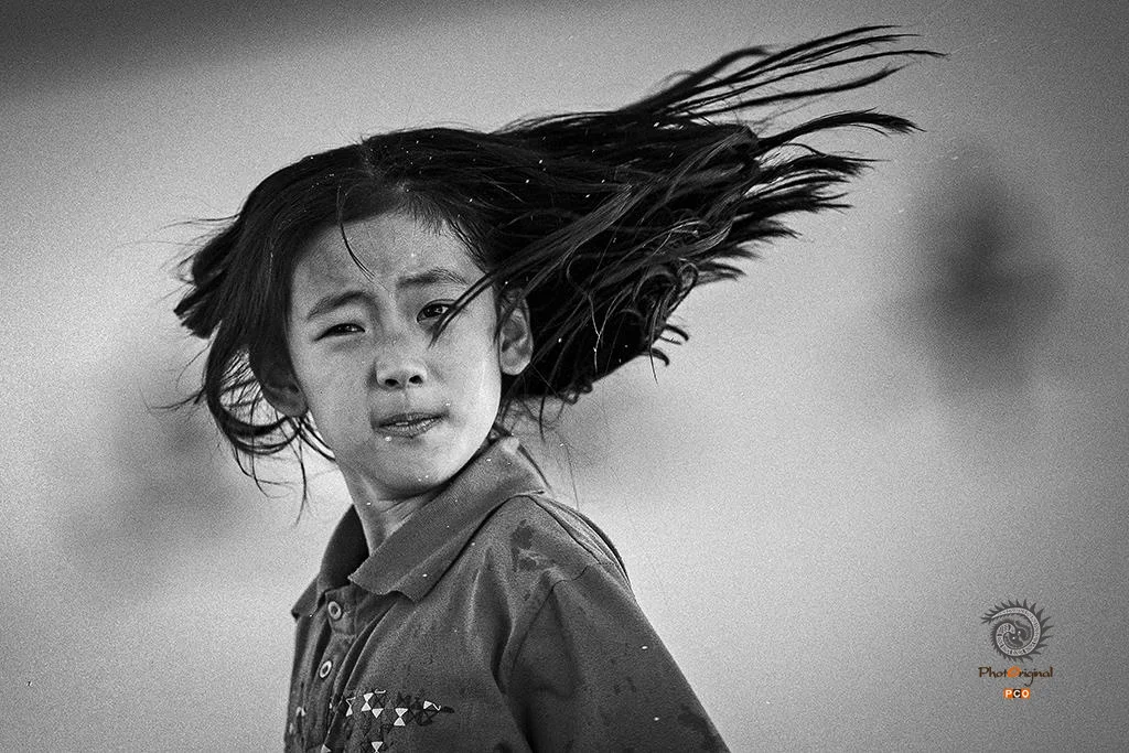 第十五届多彩贵州·中国原生态国际摄影大展 · 摄影大展官方客服 的图集