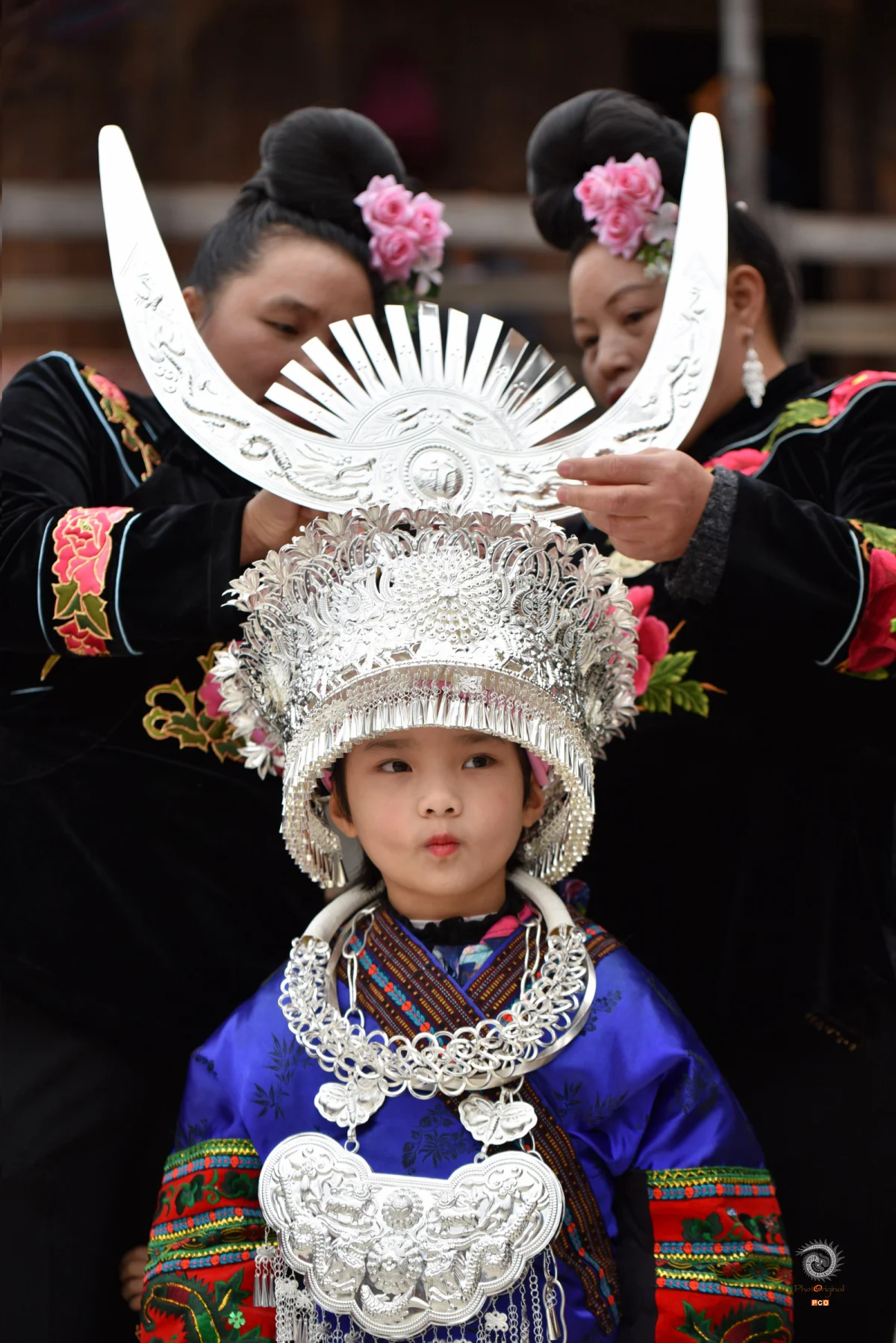 多彩贵州·第十四届中国原生态国际摄影大展 · 不按喇叭的男人 的图集