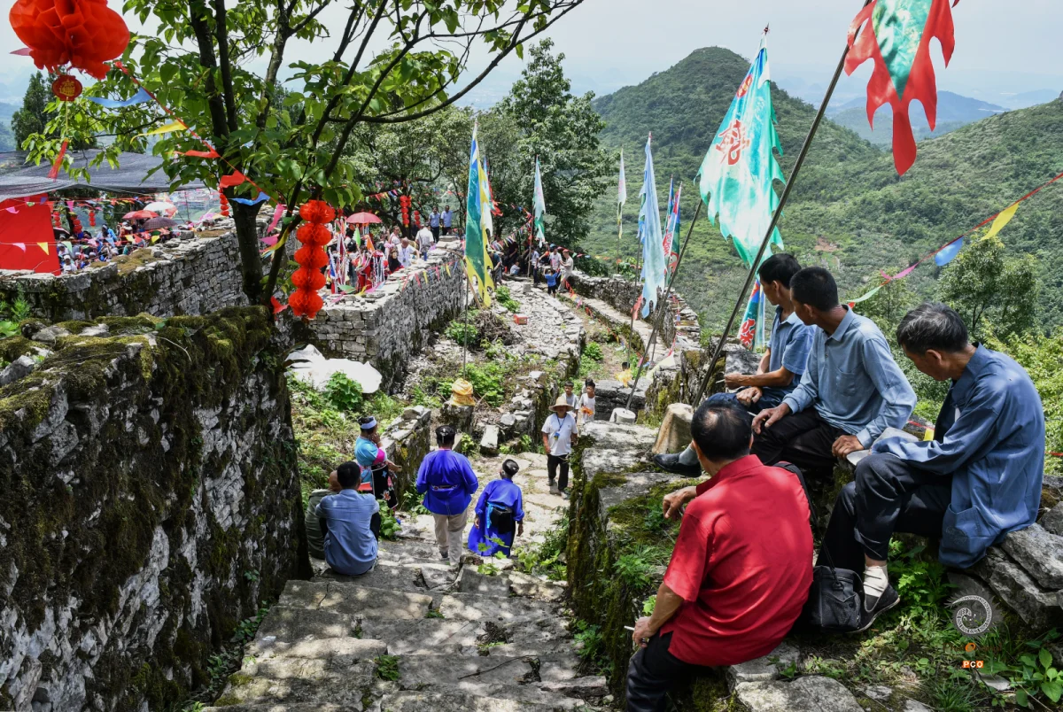 2025多彩贵州·第十八届中国原生态国际摄影大展 · 木姜子 的图集