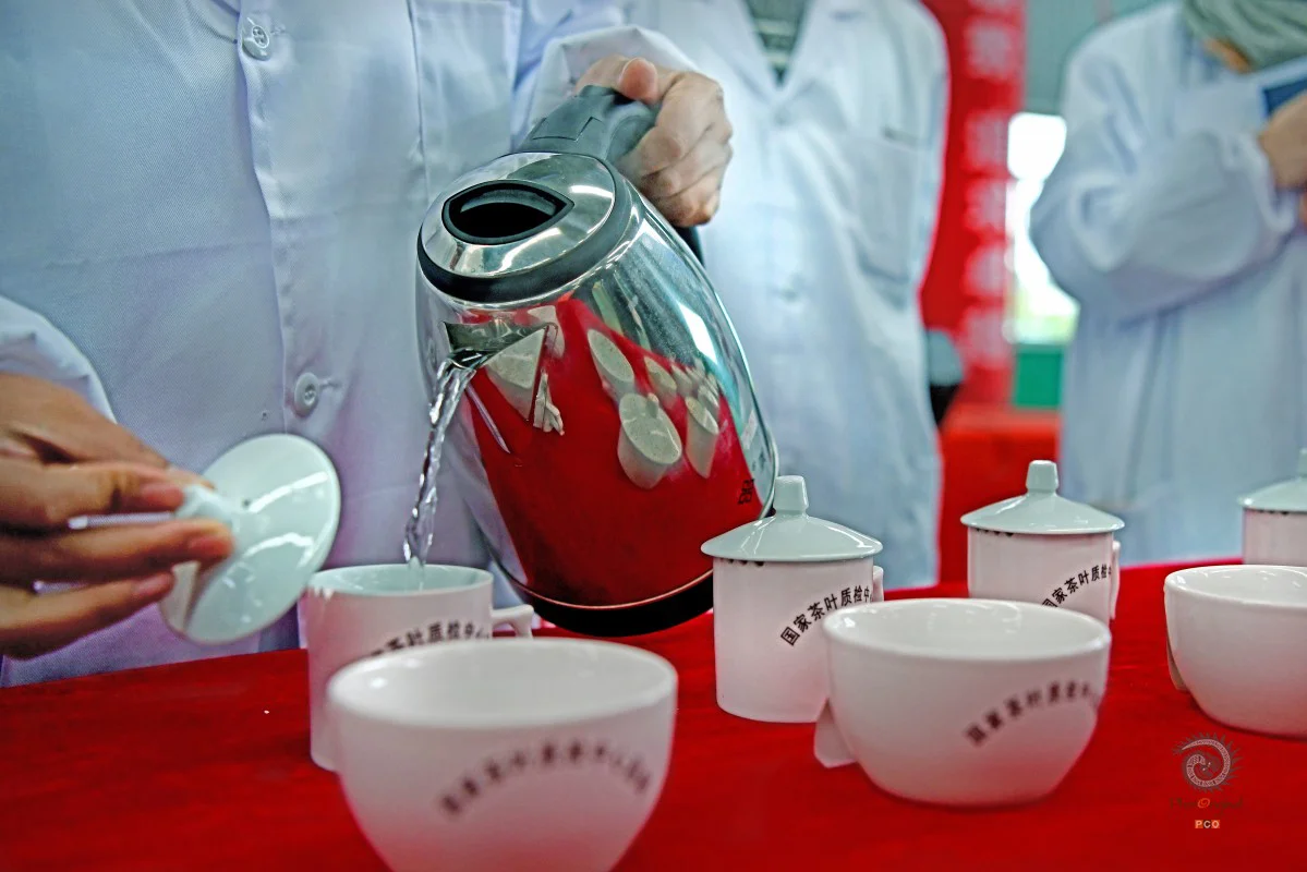 多彩贵州·第十四届中国原生态国际摄影大展 · hujibin 的图集