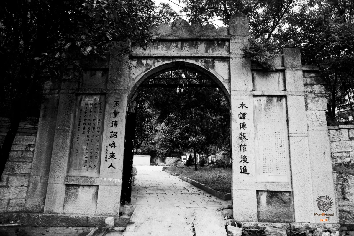 2025多彩贵州·第十八届中国原生态国际摄影大展 · 朱进 的图集