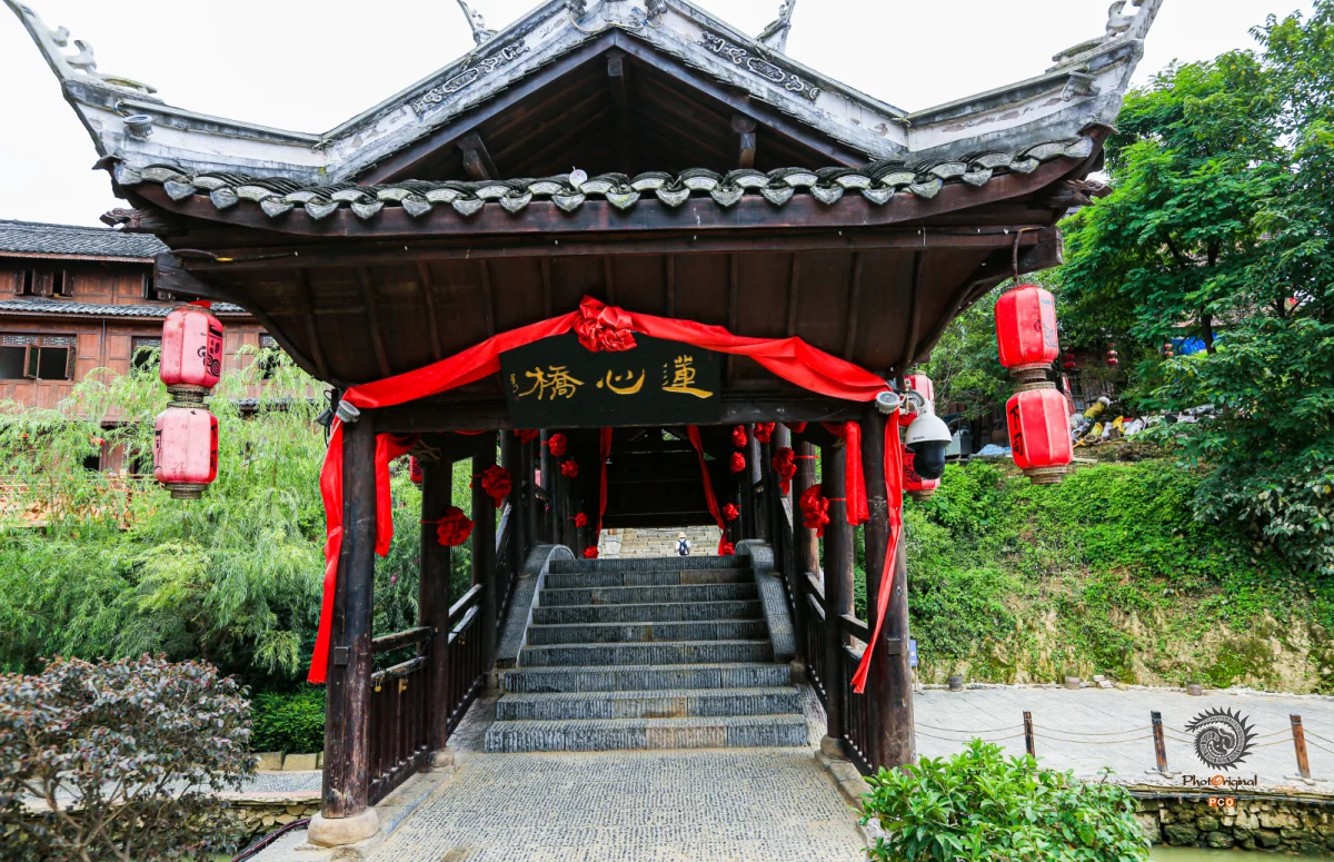 2023多彩贵州·第十六届中国原生态国际摄影大展 · 独立寒秋 的图集
