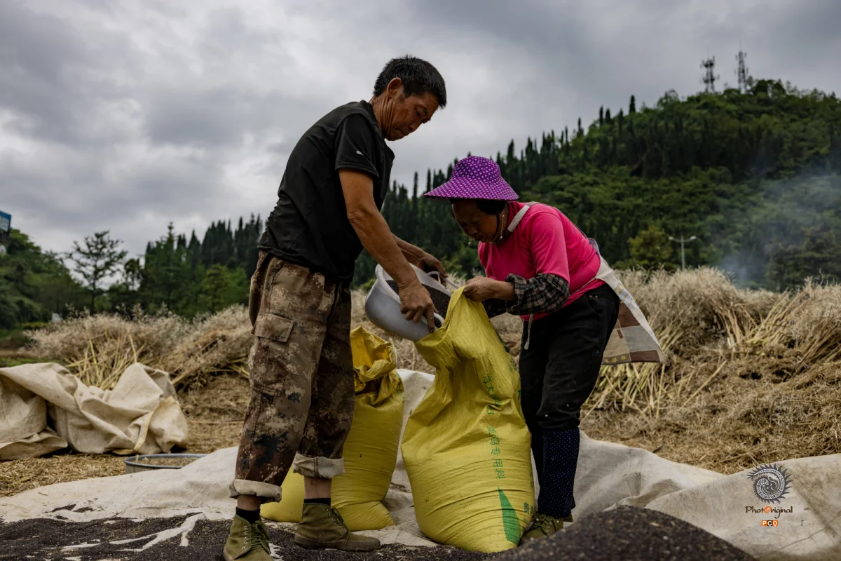 2025多彩贵州·第十八届中国原生态国际摄影大展 · 胖子 的图集