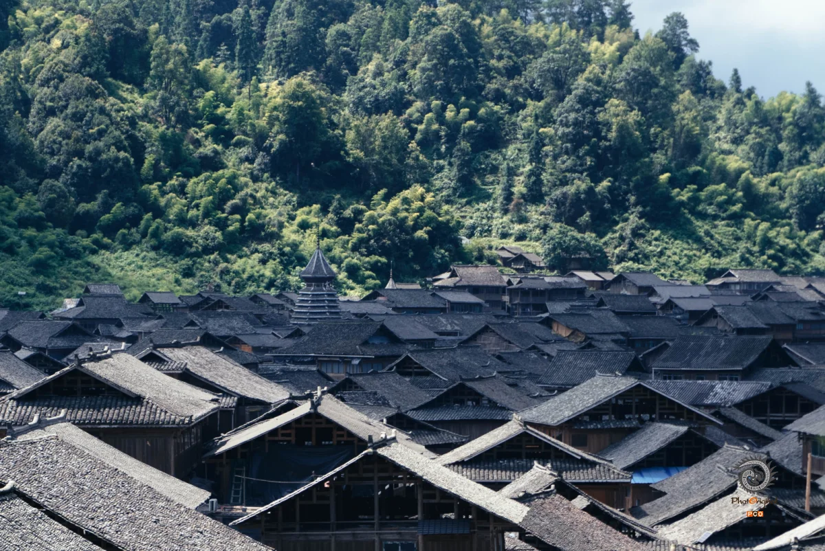 2025多彩贵州·第十八届中国原生态国际摄影大展 · 邹映湉 的图集