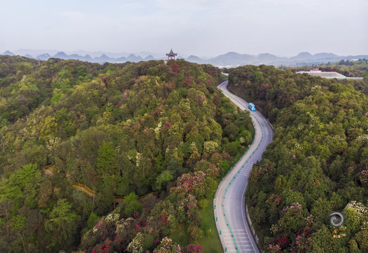 2025多彩贵州·第十八届中国原生态国际摄影大展 · 不鸣 的图集