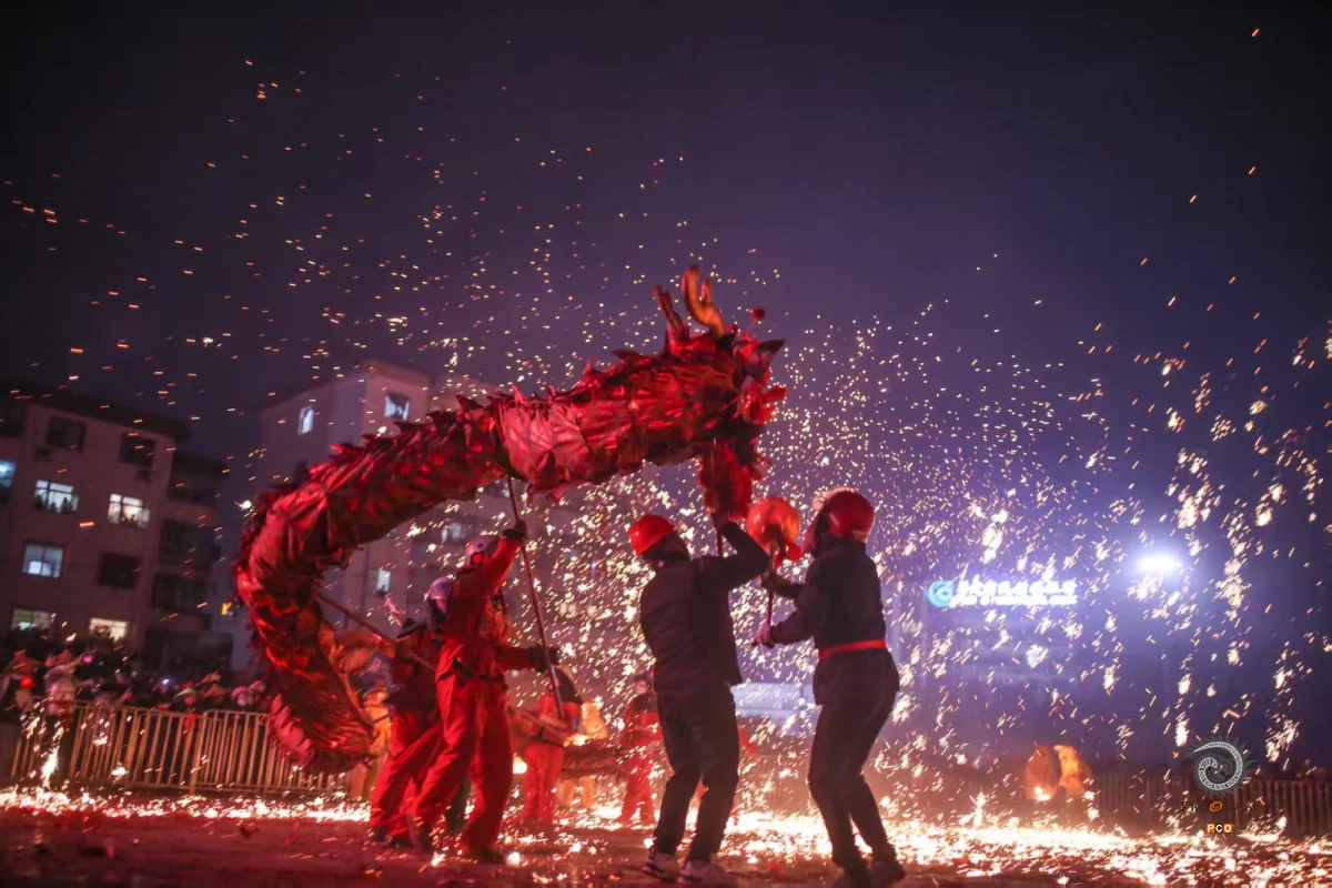 2025多彩贵州·第十八届中国原生态国际摄影大展 · 沙漠狼 的图集