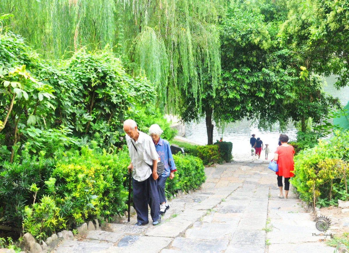 多彩贵州·第十四届中国原生态国际摄影大展 · 钟瑾文 的图集