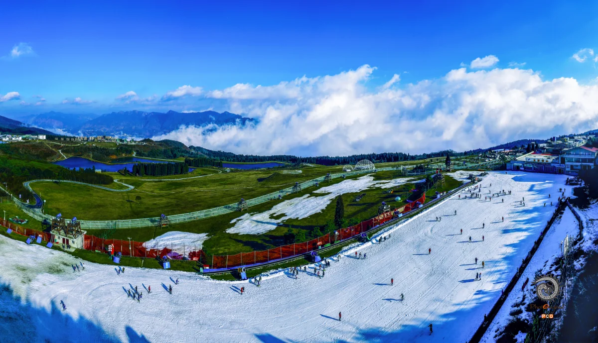 《高山滑雪》
