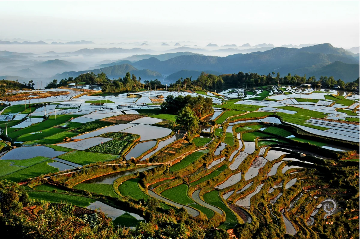 高坡梯田之晨