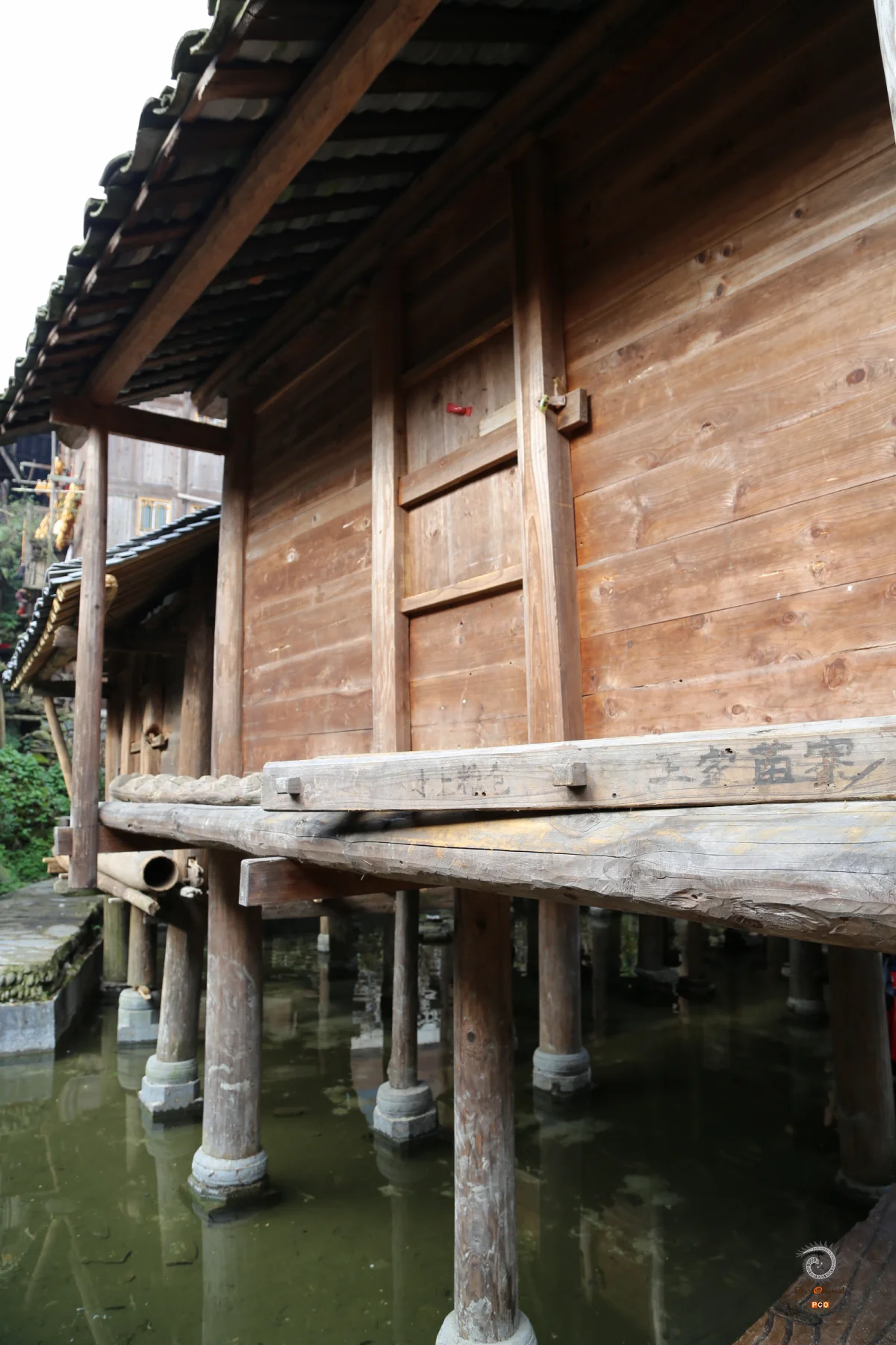 多彩贵州·第十四届中国原生态国际摄影大展 · 玉哥 的图集