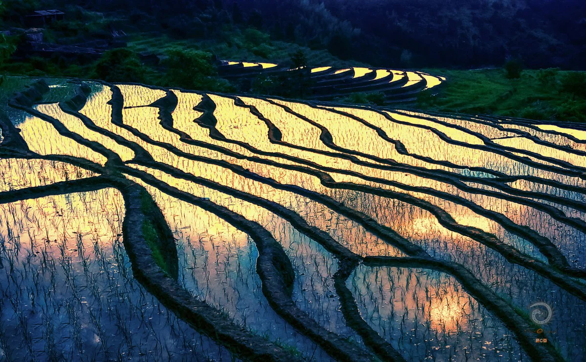 多彩贵州·第十四届中国原生态国际摄影大展 · 阳阳(苏朝阳) 的图集