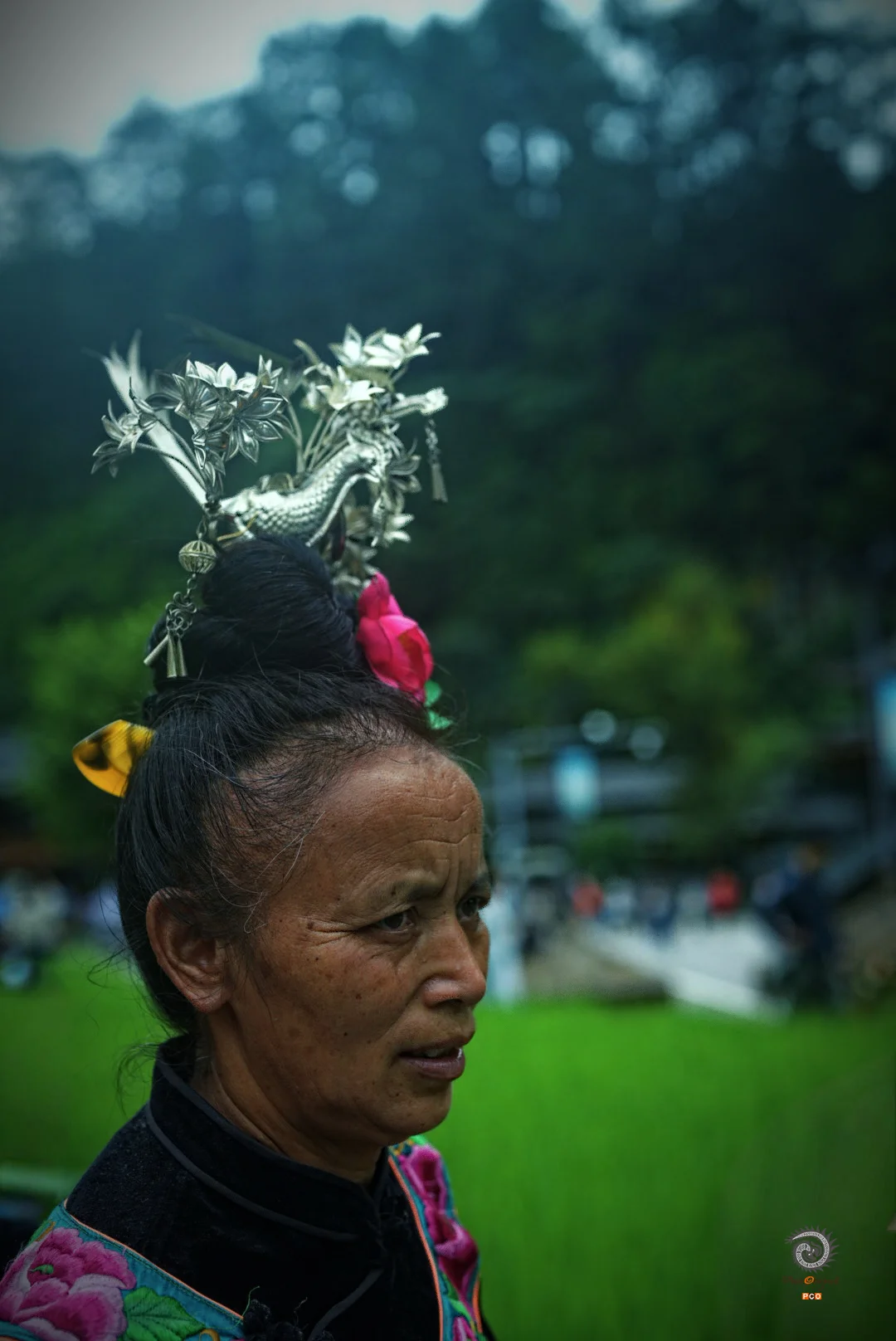 2025多彩贵州·第十八届中国原生态国际摄影大展 · 卷卷 的图集
