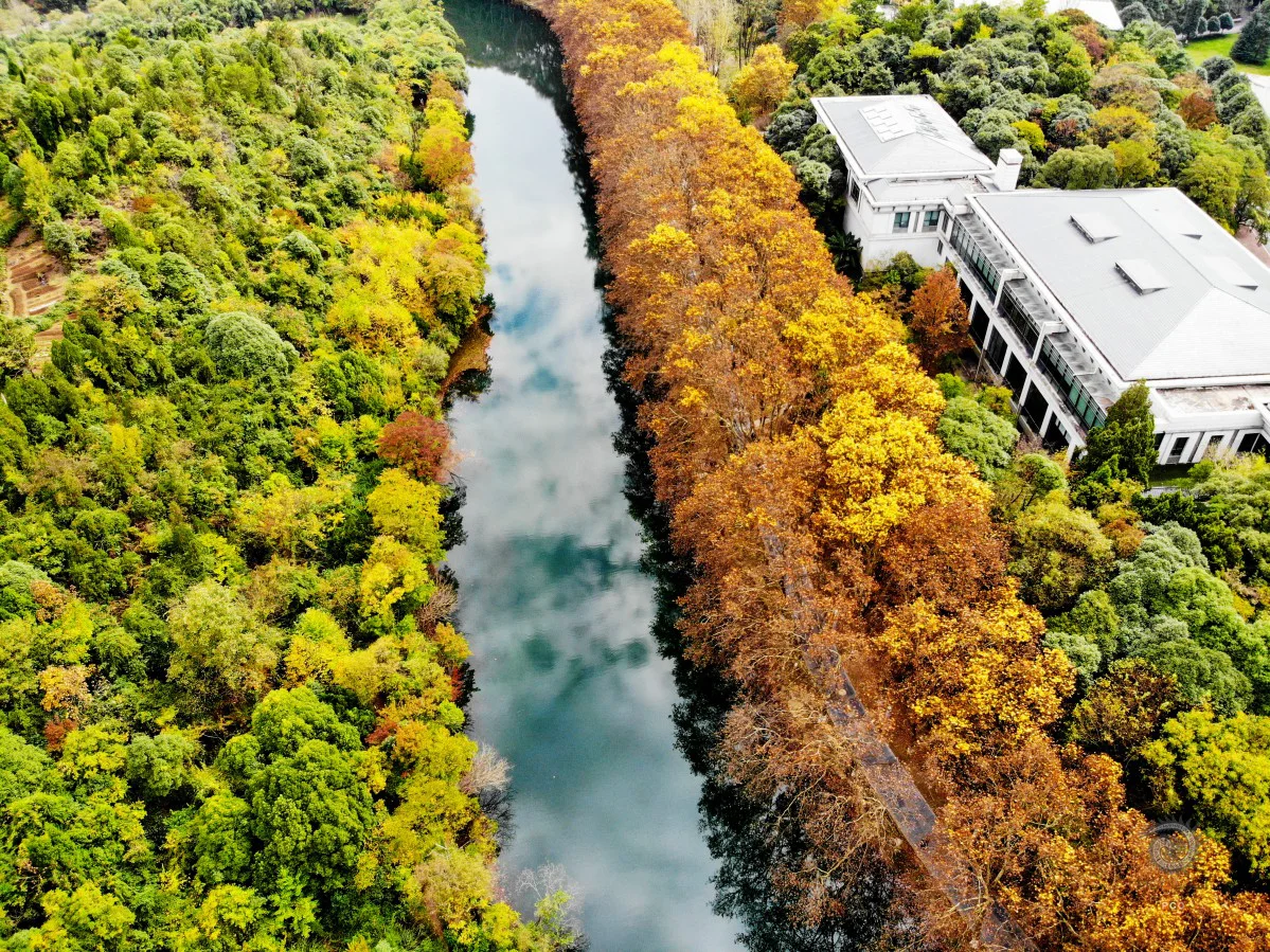 多彩贵州·第十四届中国原生态国际摄影大展 · 风雨断肠人 的图集