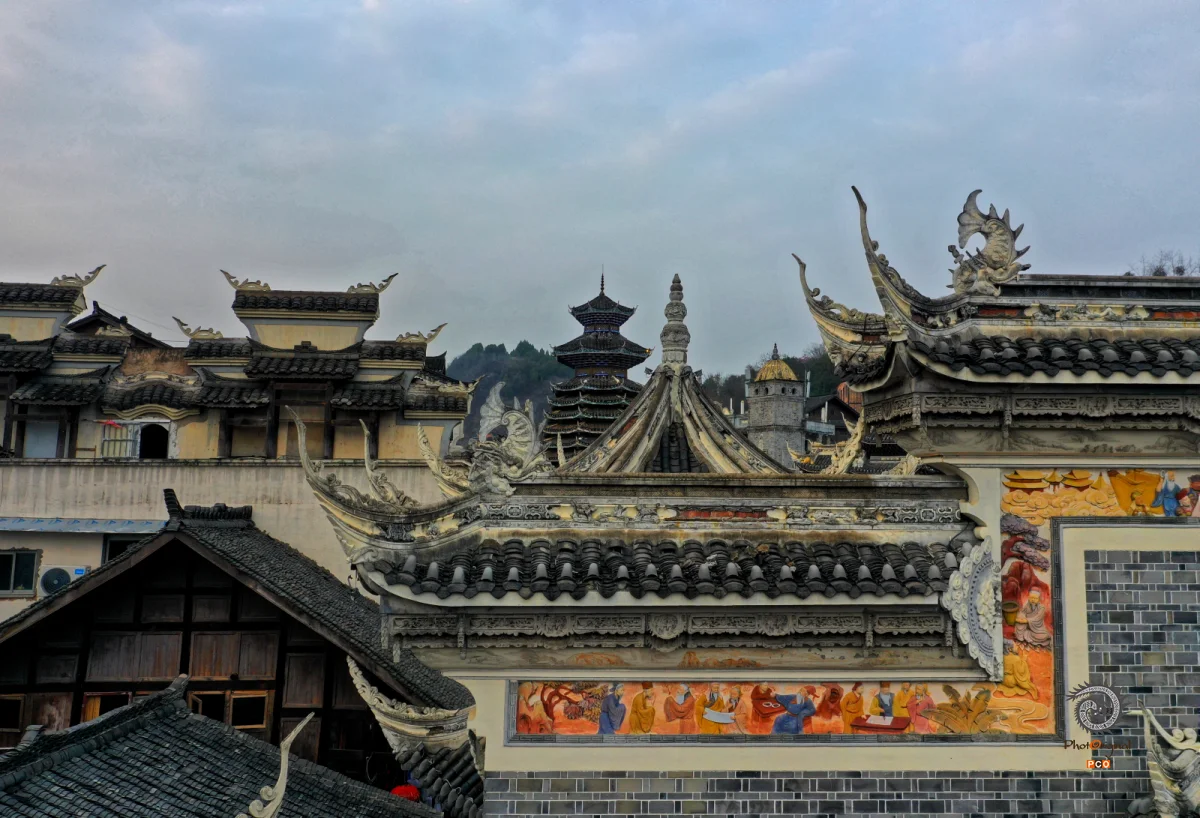 2025多彩贵州·第十八届中国原生态国际摄影大展 · 巴西铁 的图集