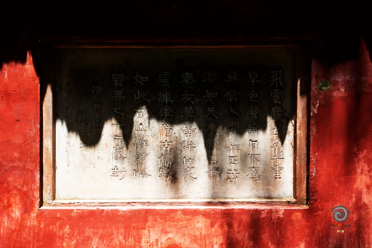 2025多彩贵州·第十八届中国原生态国际摄影大展 · 朱进 的图集