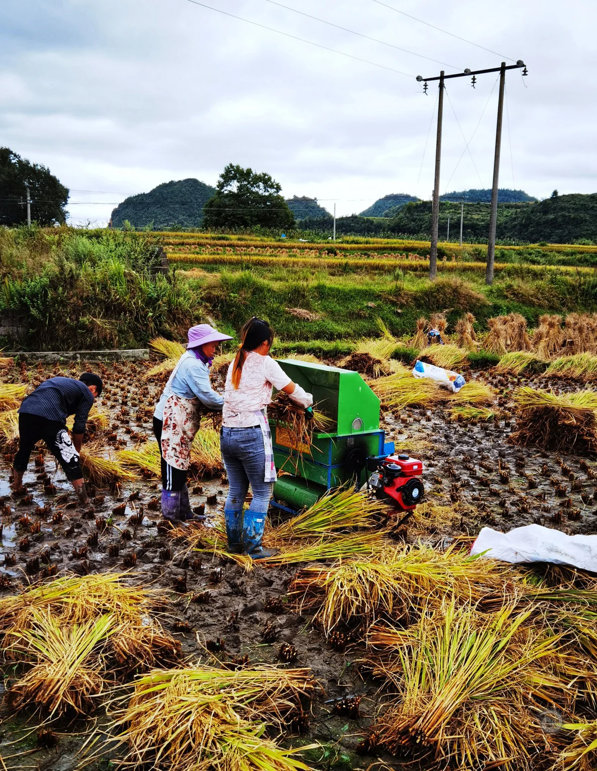 多彩贵州·第十四届中国原生态国际摄影大展 · 黔灵祝君（韩介明） 的图集
