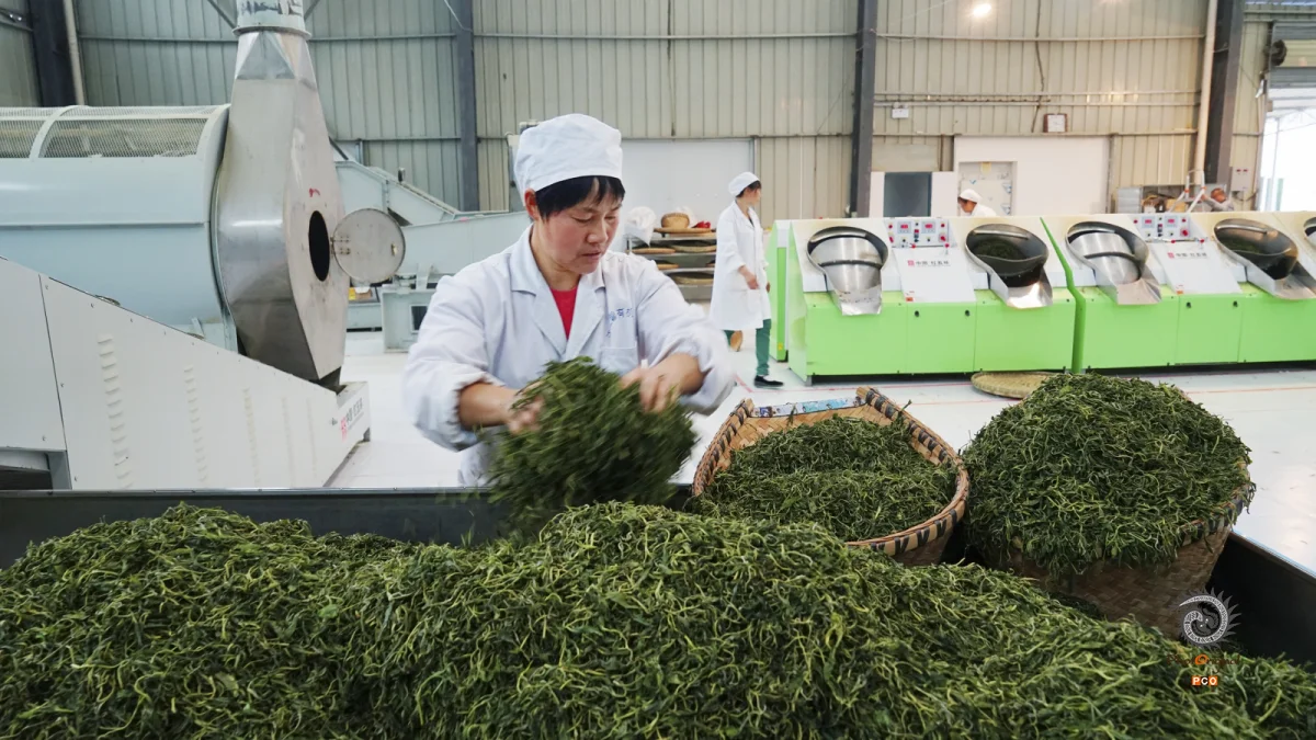 多彩贵州·第十四届中国原生态国际摄影大展 · 乌江摄影 的图集