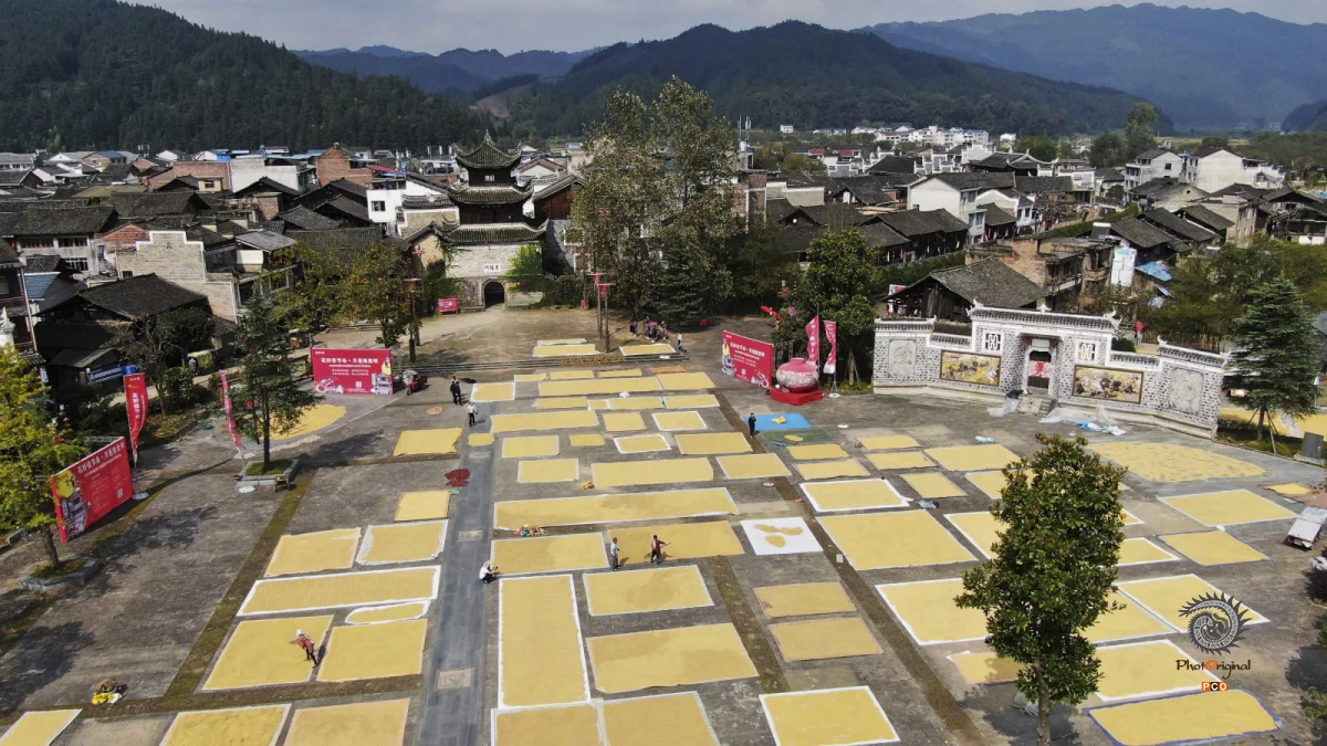 2025多彩贵州·第十八届中国原生态国际摄影大展 · 杨晓海 的图集