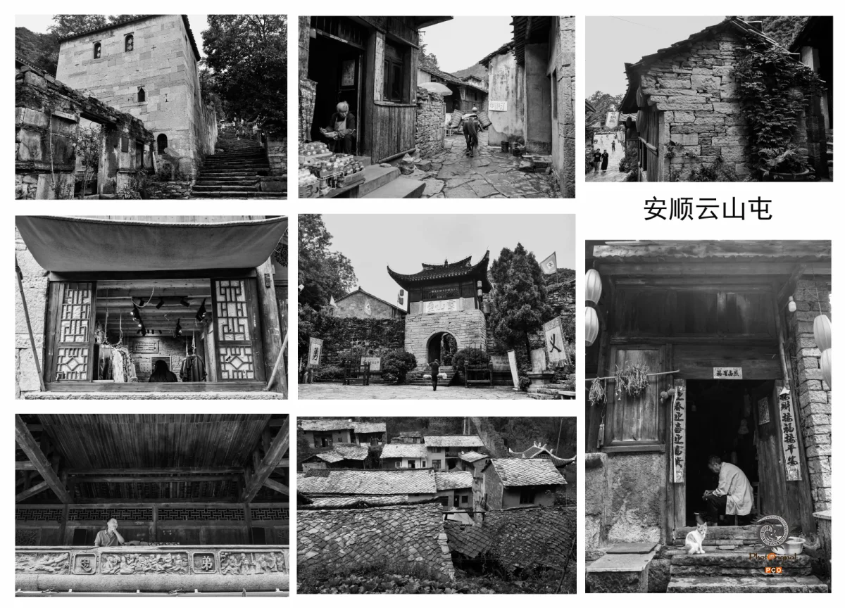 2025多彩贵州·第十八届中国原生态国际摄影大展 · 木姜子 的图集