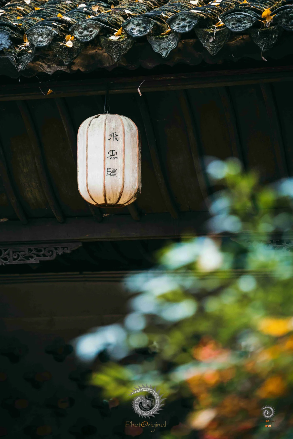 2024多彩贵州·第十七届中国原生态国际摄影大展展览 · 摄影大展官方客服 的图集