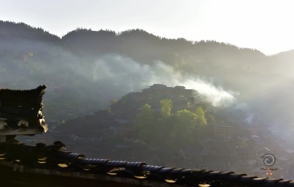 多彩贵州·第十四届中国原生态国际摄影大展 · 紫蝶视角 的图集