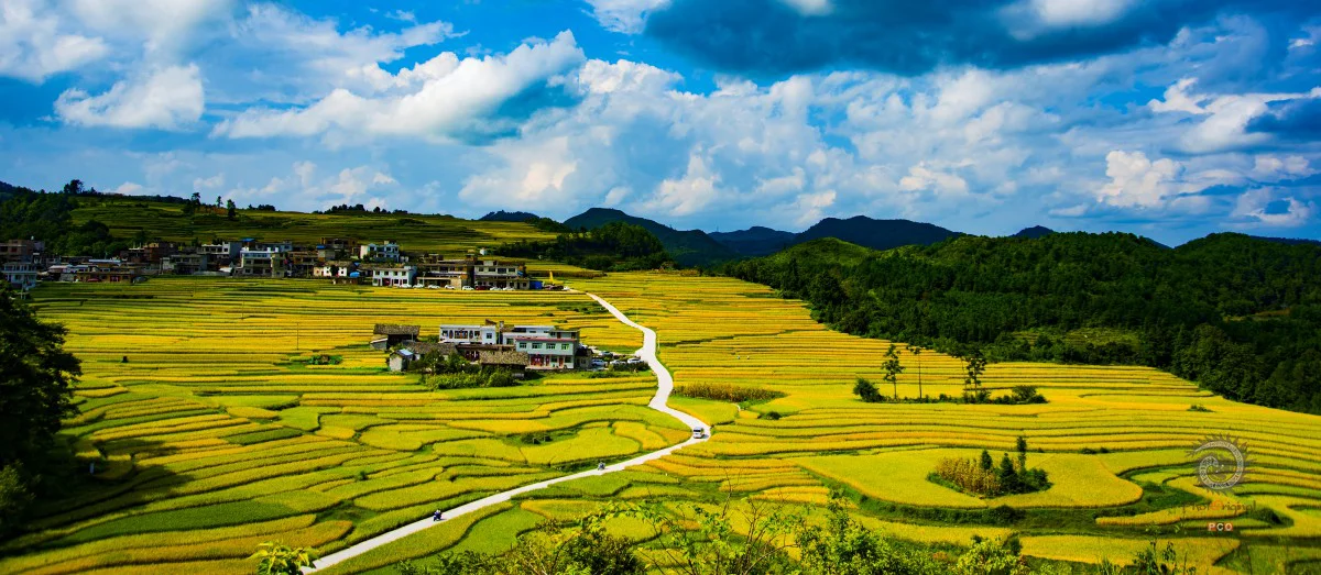 多彩贵州·第十四届中国原生态国际摄影大展 · 秀摄黔景 的图集
