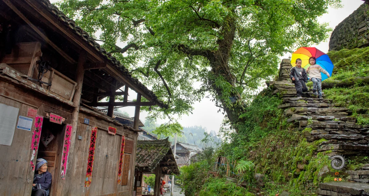 多彩贵州·第十四届中国原生态国际摄影大展 · 陶小化 的图集
