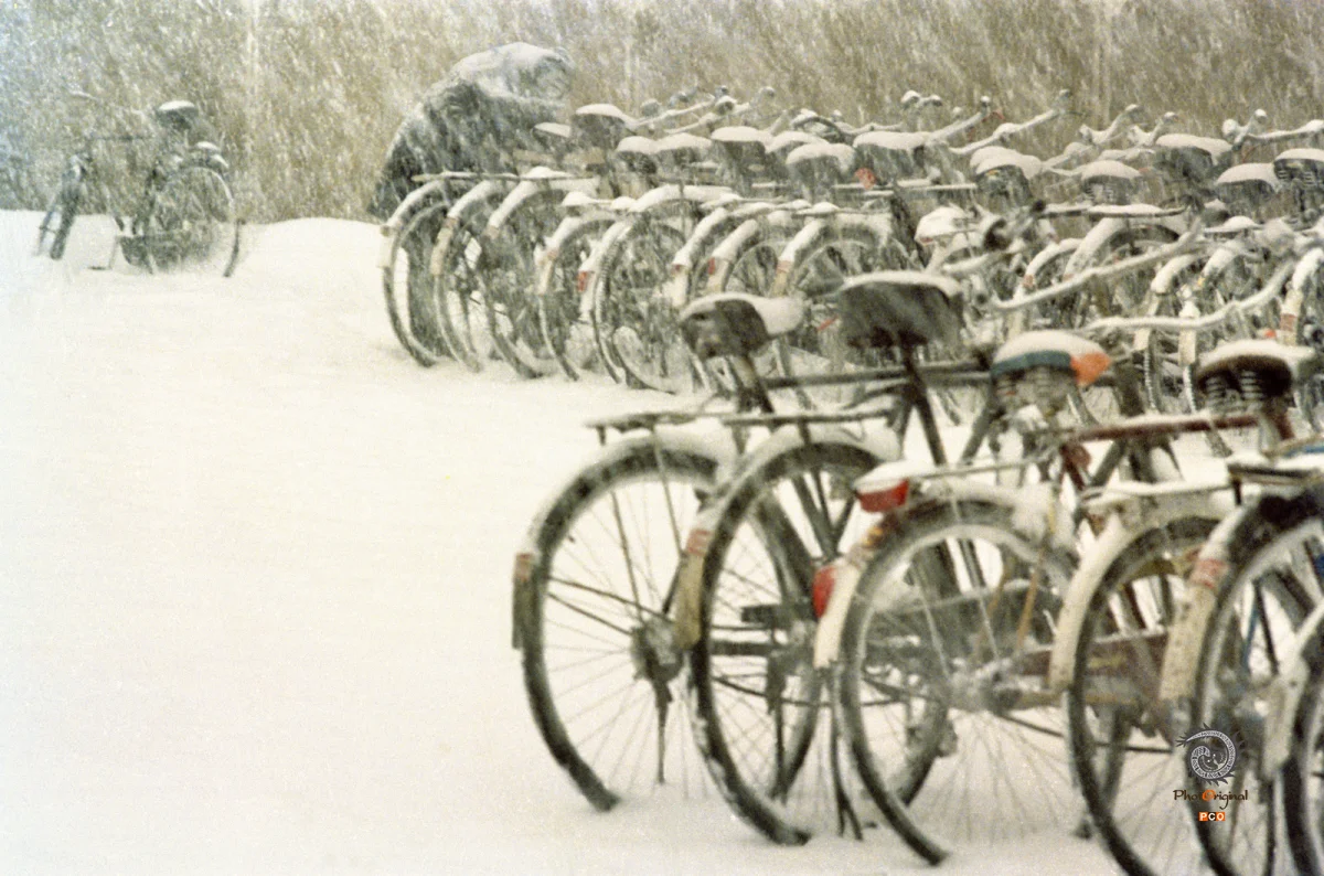 《雪野》
