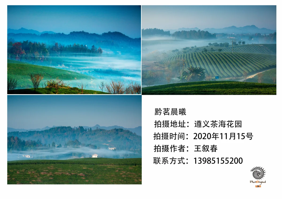 多彩贵州·第十四届中国原生态国际摄影大展 · 春春 的图集