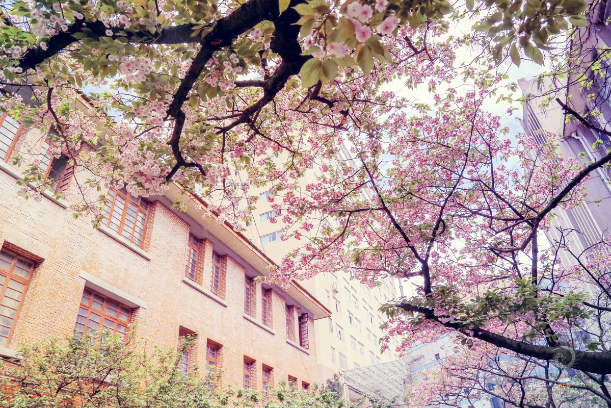 多彩贵州·第十四届中国原生态国际摄影大展 · 风雨断肠人 的图集