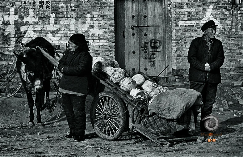 《黄河人家》