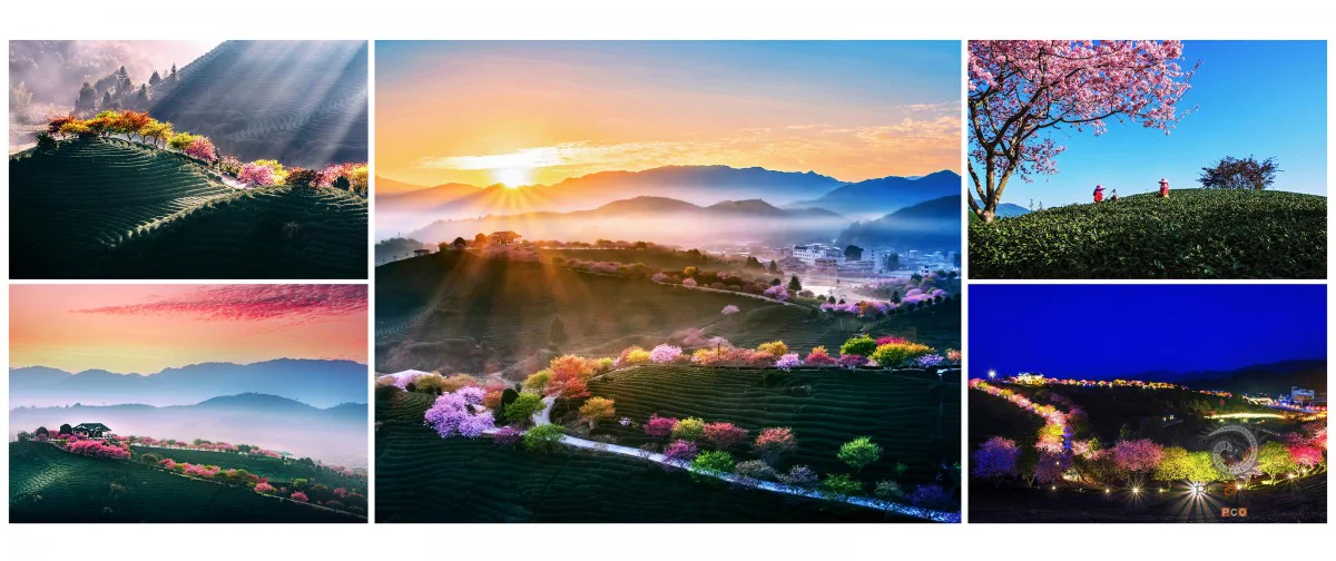 多彩贵州·第十四届中国原生态国际摄影大展 · 阳阳(苏朝阳) 的图集